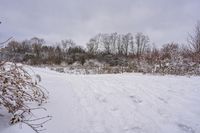 an over head view of a person skiing in the snow on a trail through a wooded area