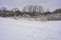 an over head view of a person skiing in the snow on a trail through a wooded area