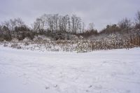 an over head view of a person skiing in the snow on a trail through a wooded area