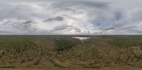 a field in a forest that is completely stripped of trees and grass, with a lot of clouds overhead and overcast