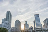a skyline view of a building with a few people at the park on the grass