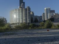the skyscraper building with a huge amount of windows in it is standing alone and surrounded by trees