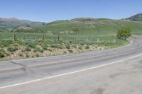 there is a mountain with wildflowers and green hills behind it and a sign that is pointing towards the left corner