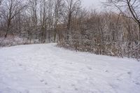 a couple people are ski down a snow covered trail in the woods and on the snowboard