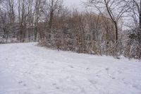 a couple people are ski down a snow covered trail in the woods and on the snowboard