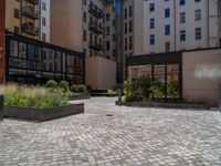 several plants sit in decorative concrete planters along the sidewalk of a building that is very modern