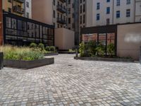 several plants sit in decorative concrete planters along the sidewalk of a building that is very modern