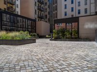 several plants sit in decorative concrete planters along the sidewalk of a building that is very modern