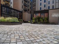 several plants sit in decorative concrete planters along the sidewalk of a building that is very modern