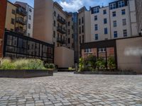 several plants sit in decorative concrete planters along the sidewalk of a building that is very modern