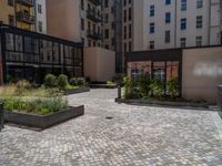 several plants sit in decorative concrete planters along the sidewalk of a building that is very modern