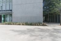 a gray building on a sunny day with grass on the ground in front of it