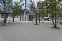 a group of trees are lined around near a building with a glass wall on the side