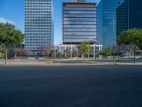 an empty street in front of a building and trees on the other side of the road