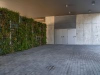 Sleek Paver Surfaces and Vertical Gardens in Barcelona