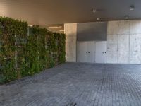 Sleek Paver Surfaces and Vertical Gardens in Barcelona