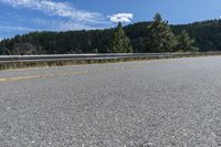 there is a small bear standing on the side of the road near a forest area