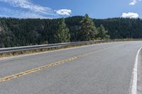 there is a small bear standing on the side of the road near a forest area