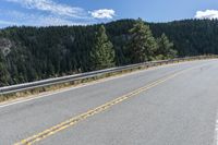 there is a small bear standing on the side of the road near a forest area