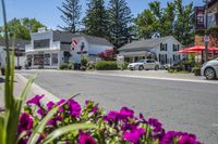 small business with a tree lined street in the middle of it and a blue sky in the background