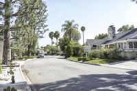 there are palm trees lining the streets in this neighborhood near homes and a parking lot