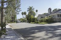 there are palm trees lining the streets in this neighborhood near homes and a parking lot