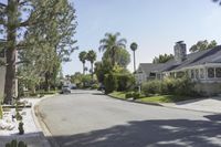 there are palm trees lining the streets in this neighborhood near homes and a parking lot