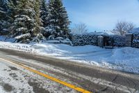 a road is blocked by snow that has fallen to the ground and trees in the background