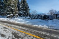 a road is blocked by snow that has fallen to the ground and trees in the background