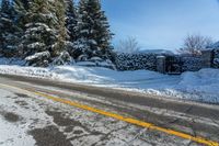 a road is blocked by snow that has fallen to the ground and trees in the background