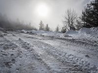 a snow covered path with snow on both sides and trees in the background with the sun