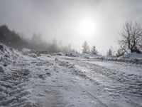 a snow covered path with snow on both sides and trees in the background with the sun