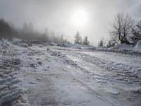a snow covered path with snow on both sides and trees in the background with the sun