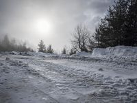 a snow covered path with snow on both sides and trees in the background with the sun