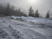 a snow covered path with snow on both sides and trees in the background with the sun