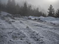 a snow covered path with snow on both sides and trees in the background with the sun