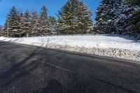 a couple of snow covered trees are near some road signs and fenced off road