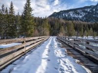 a snow covered bridge leading to a forest with pine trees in the background and clouds