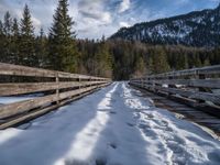 a snow covered bridge leading to a forest with pine trees in the background and clouds