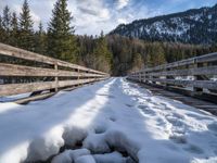 a snow covered bridge leading to a forest with pine trees in the background and clouds