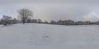 a city park in the snow with trees on top of the hill and people walking in the distance