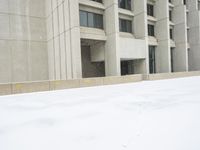 a view of a snow covered driveway next to building with large windows and shutters