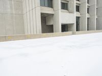 a view of a snow covered driveway next to building with large windows and shutters