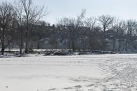 a snow covered field with trees and a fire hydrant on it with one snowboard propped on the ground and one in the middle