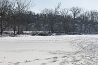 a snow covered field with trees and a fire hydrant on it with one snowboard propped on the ground and one in the middle