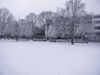 a view of the snow covered field with trees in the background and buildings on the right