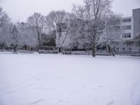 a view of the snow covered field with trees in the background and buildings on the right