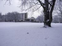 a large white building on top of a field covered with snow next to trees and a person walking