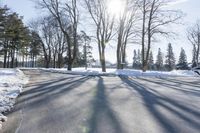 Snow Covered Forest in Residential Area