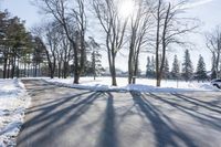 Snow Covered Forest in Residential Area